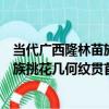 當代廣西隆林苗族挑花幾何紋貫首衣（關于當代廣西隆林苗族挑花幾何紋貫首衣介紹）