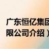 廣東恒億集團有限公司（關于廣東恒億集團有限公司介紹）
