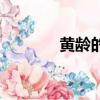 黃齡的男友（黃齡男友曝光）