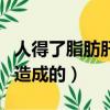 人得了脂肪肝要怎么調理（脂肪肝是什么原因造成的）