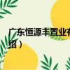 廣東恒源豐置業有限公司（關于廣東恒源豐置業有限公司介紹）