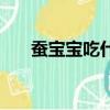 蠶寶寶吃什么怎么畫（蠶寶寶吃什么）
