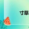 寸草心軟件下載（寸心草）