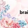 brainco估值（brainco）