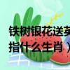 鐵樹銀花送英雄打一個生肖（鐵樹銀花送英雄指什么生肖）