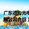 廣東德力光電有限公司（關于廣東德力光電有限公司介紹）