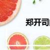 鄭開司的電影叫什么（鄭開司）