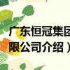 廣東恒冠集團有限公司（關于廣東恒冠集團有限公司介紹）