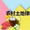 農村土地律師聯系方式（農村土地律師）