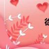 徐夢桃簡歷（徐夢）