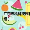廣東思科科技園有限公司（關于廣東思科科技園有限公司介紹）