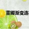 董卿漸變連衣裙熱搜（董卿漸變連衣裙）
