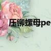 壓鉚螺母pem表示什么（pem壓鉚螺母）