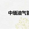 中緬油氣管道詳細圖（中緬油氣管道）