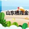 山東棲霞金礦最新動態（山東棲霞金礦）