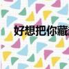 好想把你藏起來小說（好想把你藏起來）