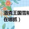 洛克王國雪精靈在哪里獲得（洛克王國雪精靈在哪抓）
