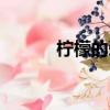 檸檬的愛情寓意（檸檬的愛情）