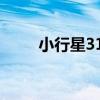 小行星314（關于小行星314簡介）