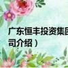 廣東恒豐投資集團有限公司（關于廣東恒豐投資集團有限公司介紹）