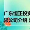 廣東恒正投資有限公司（關于廣東恒正投資有限公司介紹）
