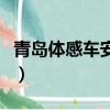 青島體感車安全性（央視曝光體感車安全隱患）