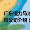 廣東恒力馬達有限公司（關于廣東恒力馬達有限公司介紹）