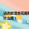 沾衣欲濕杏花雨整首古詩的意思（沾衣欲濕什么雨吹面不寒什么風）