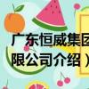 廣東恒威集團有限公司（關于廣東恒威集團有限公司介紹）