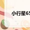 小行星655（關于小行星655簡介）