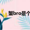 蟹bro是個什么梗（蟹BRO是什么梗）