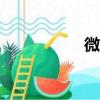 微店鋪app（微店鋪）