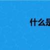 什么是元媛舞會（元媛舞會）