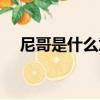 尼哥是什么意思中文（尼哥是什么意思）