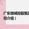 廣東微誠控股集團有限公司（關于廣東微誠控股集團有限公司介紹）