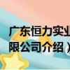 廣東恒力實業有限公司（關于廣東恒力實業有限公司介紹）