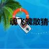 魂飛魄散猜一數字（魂飛魄散打一數字）
