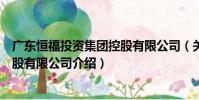 廣東恒福投資集團控股有限公司(關于廣東恒福投資集團控股有限公司介紹)