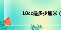 10cc是多少厘米(10cc)
