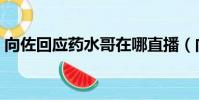 向佐回應藥水哥在哪直播(向佐回應藥水哥)