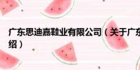 廣東思迪嘉鞋業有限公司(關于廣東思迪嘉鞋業有限公司介紹)