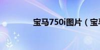 寶馬750i圖片(寶馬750i)