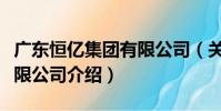 廣東恒億集團有限公司(關于廣東恒億集團有限公司介紹)