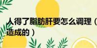 人得了脂肪肝要怎么調理(脂肪肝是什么原因造成的)