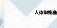 人體嫩鮑魚