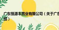 廣東恒源豐置業有限公司(關于廣東恒源豐置業有限公司介紹)