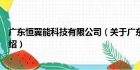 廣東恒翼能科技有限公司(關于廣東恒翼能科技有限公司介紹)