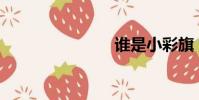 誰是小彩旗?