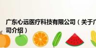 廣東心遠醫療科技有限公司(關于廣東心遠醫療科技有限公司介紹)