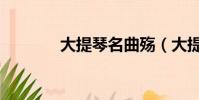 大提琴名曲殤(大提琴名曲)